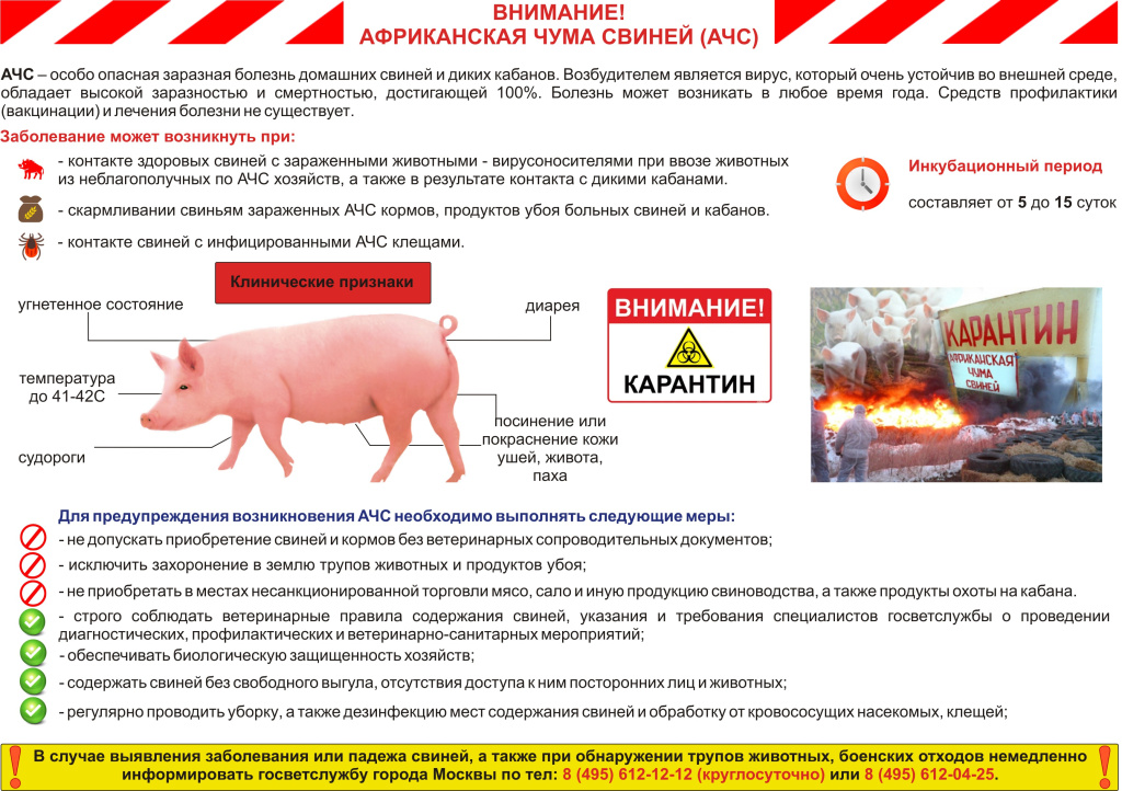 Раздатка АЧС (1).jpg
