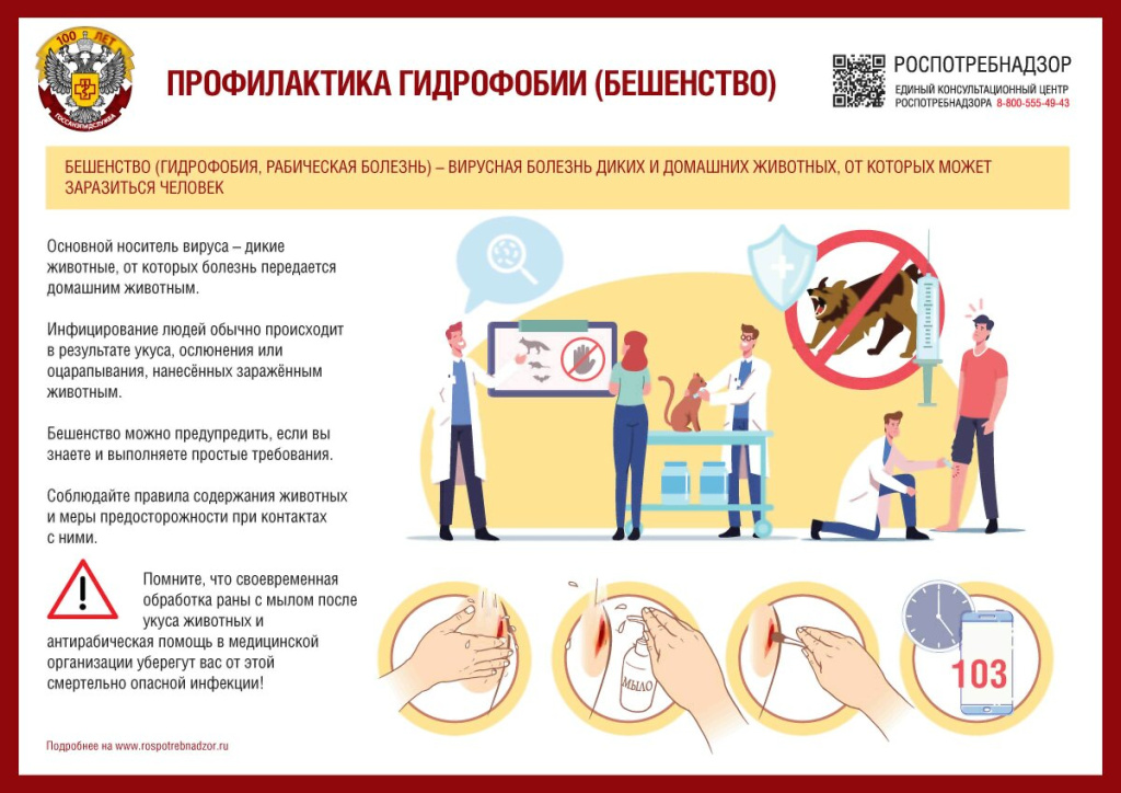 Бешенство.jpg