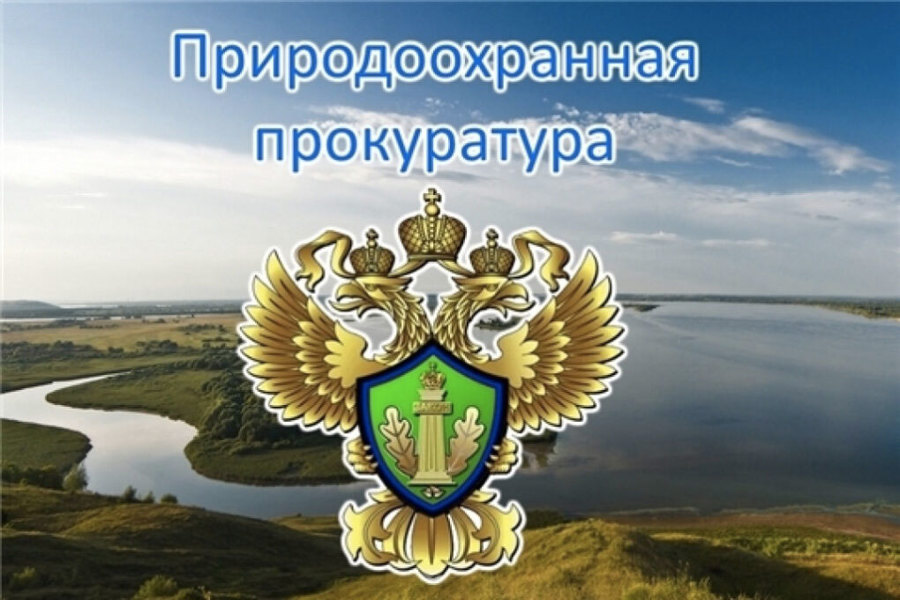 UXpqy5a6MWc7MKnNSsB33hUuBvW8BDN9.jpg