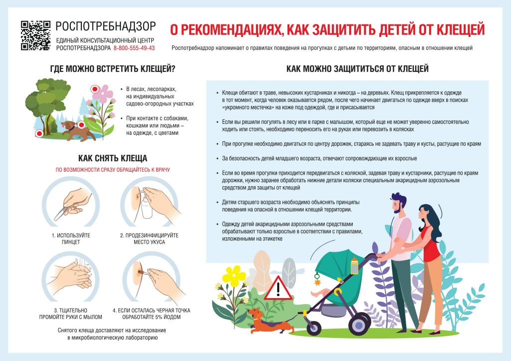 Защита детей от клещей.jpg