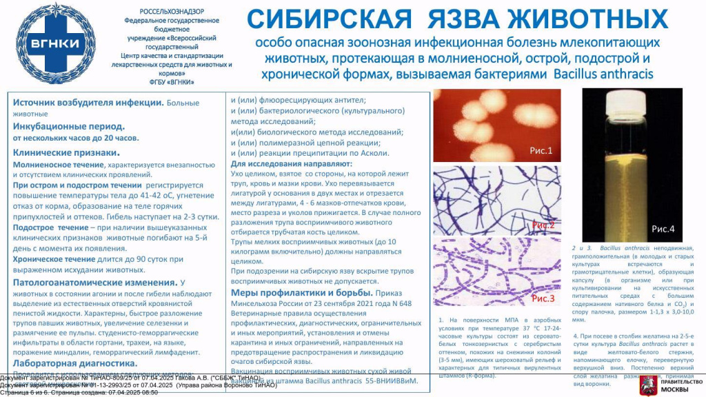 epmy9GWM7V8ZvPzP1PXlqza-wu6vn6x94XNIEjrt4KKdVrzANjNTCag6v-DUTzGwhb5pHtuULkTegCt8oJS75U-LQvrjQrwAvWkGWuPn2nf3ee3pluM2zhBCkQDD.jpg