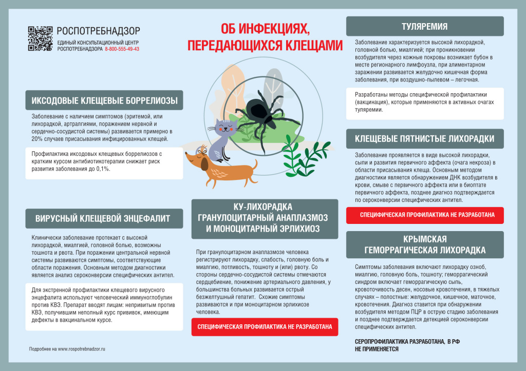 инфекции передающиеся клещами.jpg