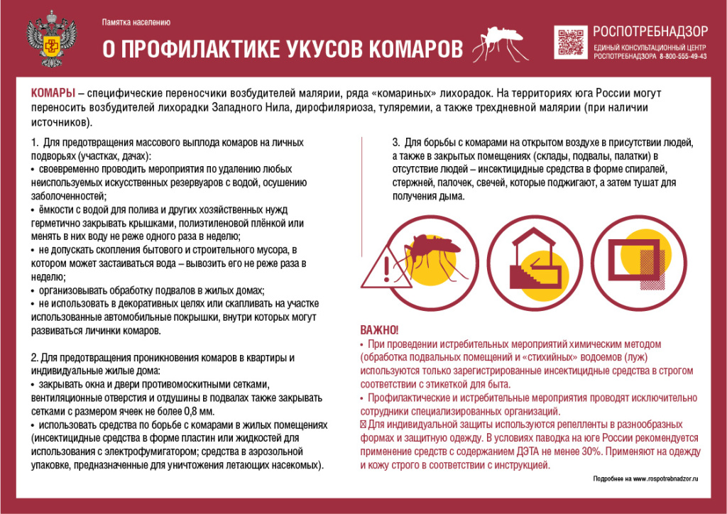 Комары.jpg