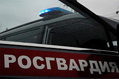 Сотрудники Росгвардии задержали ранее судимого мужчину, проникшего ночью на территорию школы в Москве 