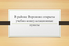 В районе Вороново открыты учебно-консультационные пункты 