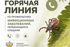 «Горячая линия» по профилактике клещевого энцефалита 