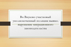 Во Внуково участковый уполномоченный полиции выявил нарушение миграционного законодательства