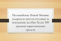 Полицейские Новой Москвы задержали жителя столицы за покушение на сбыт более 300 граммов наркотических средств