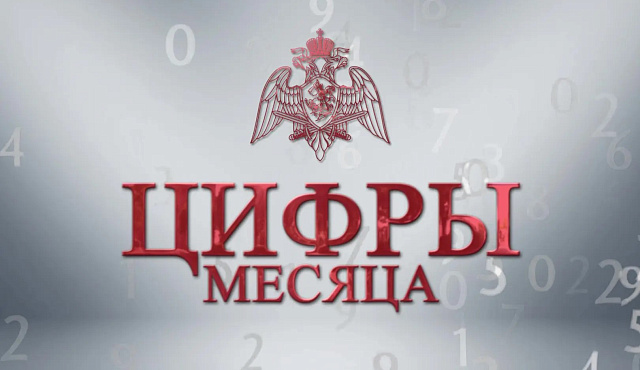В Главном управлении Росгвардии по Москве рассказали о результатах служебной деятельности за прошедший месяц