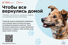 Если ваш питомец потерялся