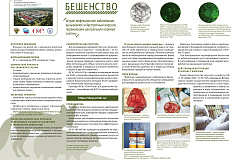 Информационная памятка по бешенству