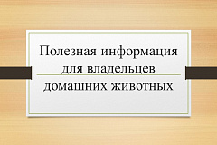 Полезная информация для владельцев домашних животных