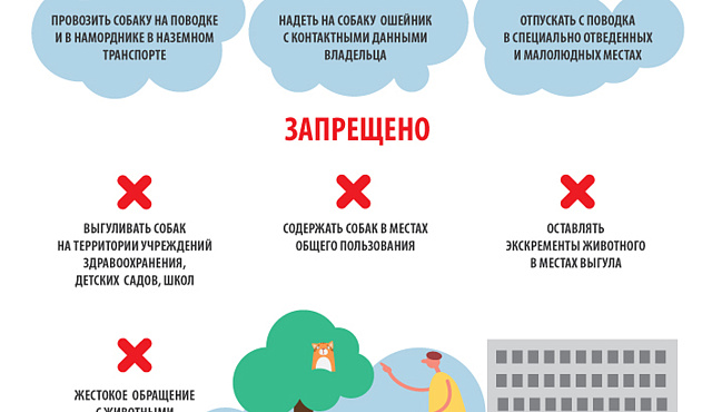 Памятка: правила содержания и выгула собак