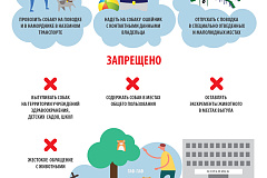 Памятка: правила содержания и выгула собак