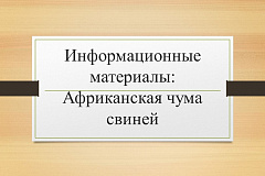 Информационные материалы: Африканская чума свиней