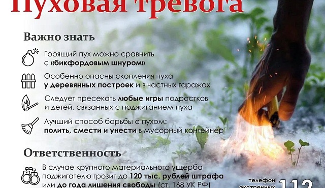 Безопасность в летний период