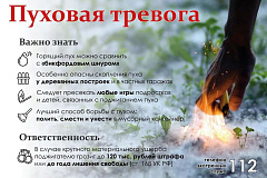 Безопасность в летний период