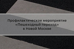 ГИБДД Новой Москвы напоминает пешеходам: соблюдение ПДД — залог безопасности