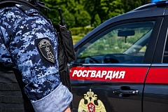 В Москве росгвардейцы задержали водителя разыскиваемого автомобиля