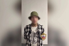 Полицейские Новой Москвы задержали подозреваемых в краже мобильного телефона и денег со счета