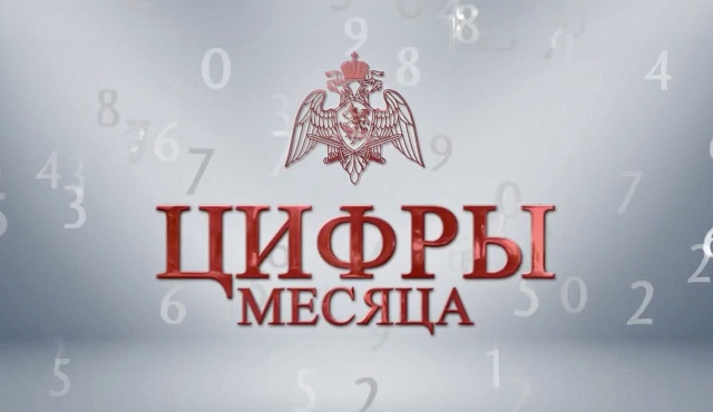 Около 7000 подозреваемых в правонарушениях задержали сотрудники столичного главка Росгвардии за прошедший месяц