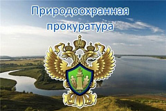  Межрайонная природоохранная прокуратура г. Москвы разъясняет: Порядок обжалования заочного решения суда по гражданскому делу