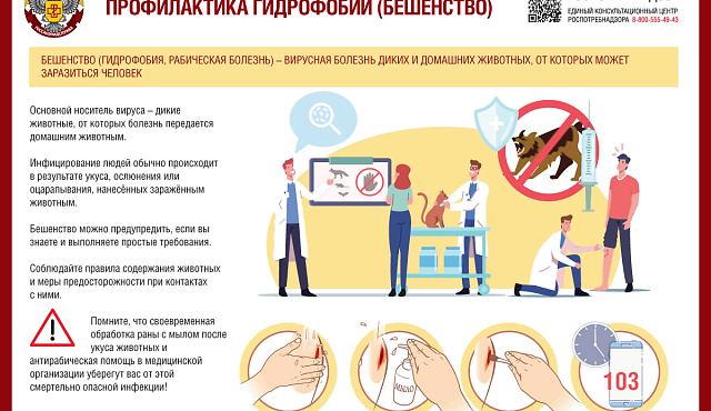 Профилактика гидрофобии (бешенство)