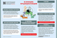Осторожно: клещи!