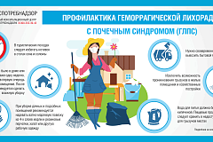 Профилактика геморрагической лихорадки