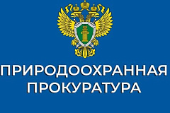 Уголовная и административная ответственность за незаконную рубку и повреждение зеленых (лесных) насаждений или их самовольное выкапывание