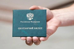 Охотничий билет выдается физическим лицам, обладающим гражданской дееспособностью в соответствии с гражданским законодательством, не имеющим непогашенной или неснятой судимости 