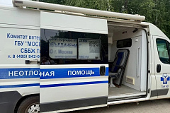 График вакцинации домашних животных на 2026 год