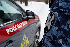 Московские росгвардейцы пришли на помощь девочке, которая не могла выбраться из замерзшего снега
