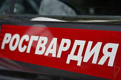 Московские росгвардейцы задержали мужчину, напавшего на сожительницу